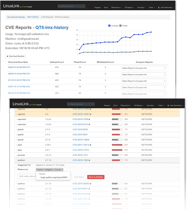 CVE report for managers and detailed risk analysis views